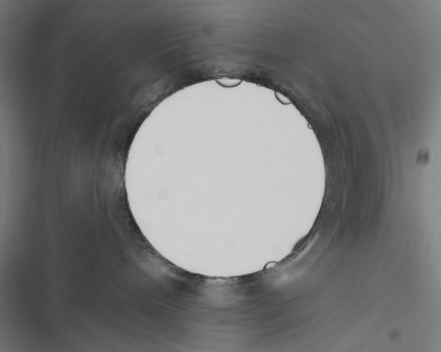 X0000116850240201001191647