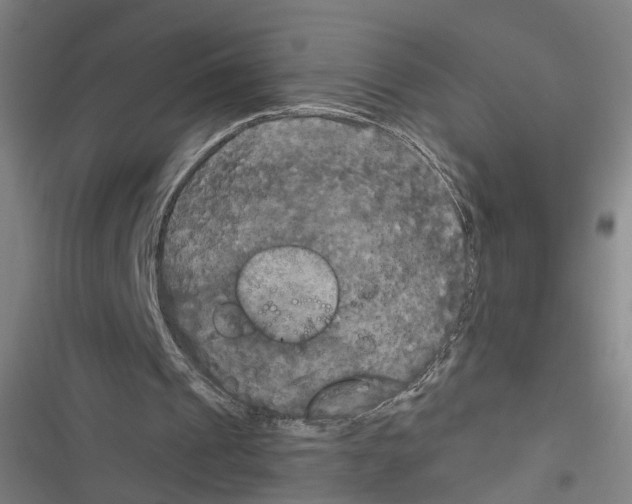 X0000116850241201001191646