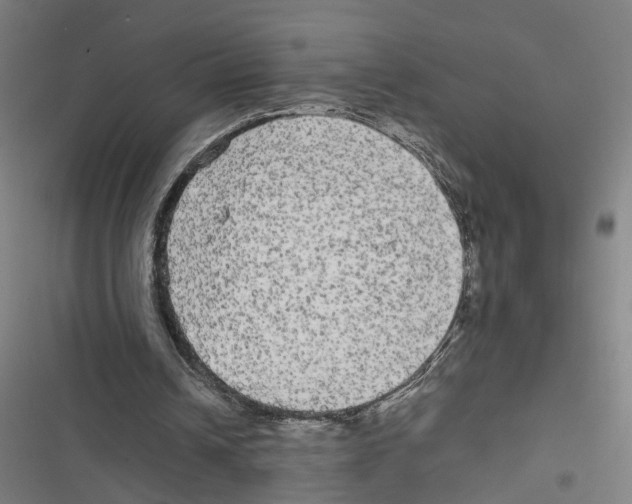 X0000116850242201001191646