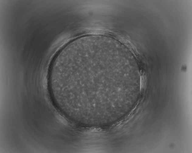 X0000116850243201001191646
