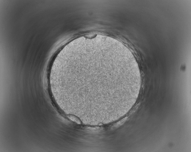 X0000116850245201001191646