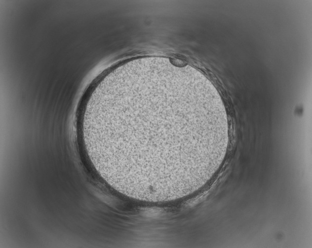 X0000116850246201001191646