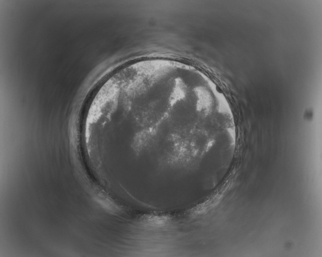X0000116850247201001191646