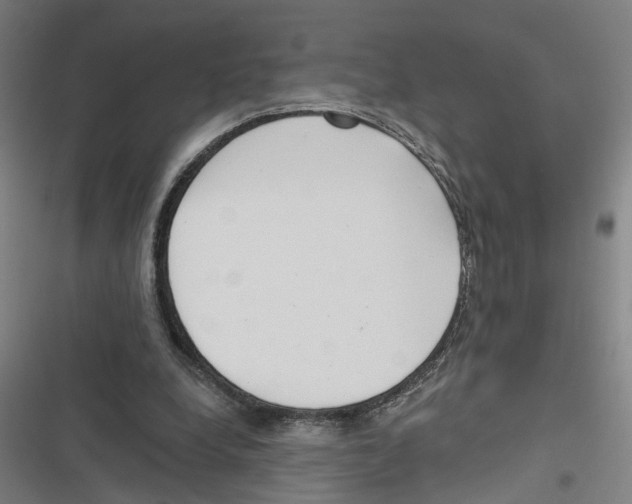X0000116850248201001191646