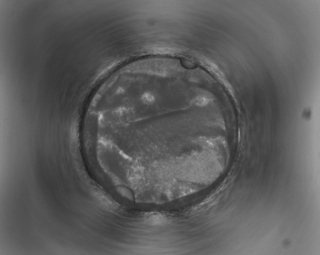 X0000116850249201001191646