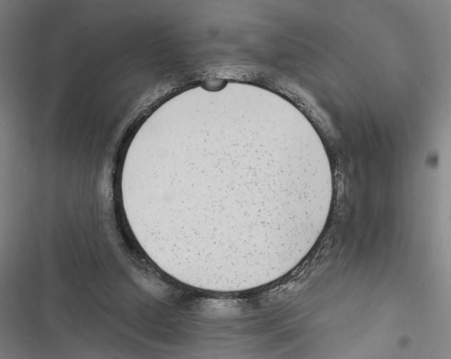 X0000116850250201001191646