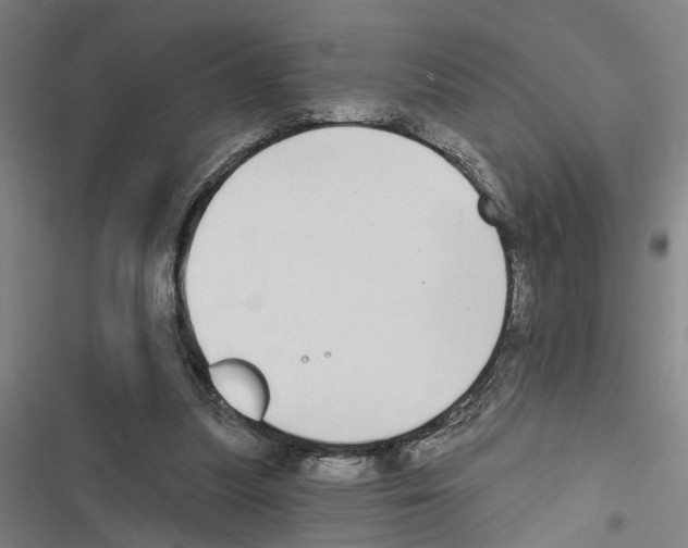 X0000116850251201001191646