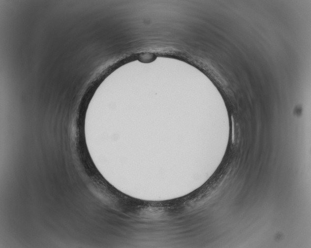 X0000116850252201001191646