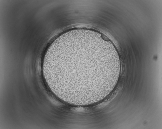 X0000116850253201001191646