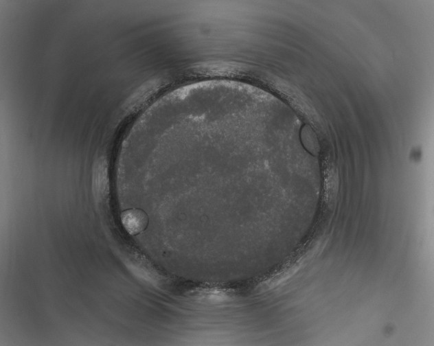 X0000116850254201001191646