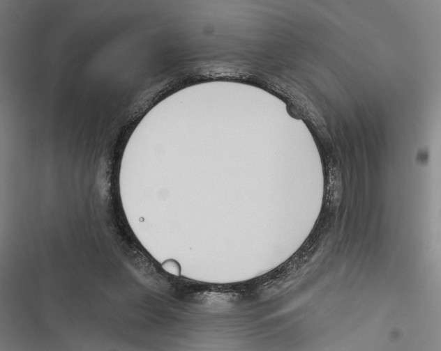 X0000116850255201001191646