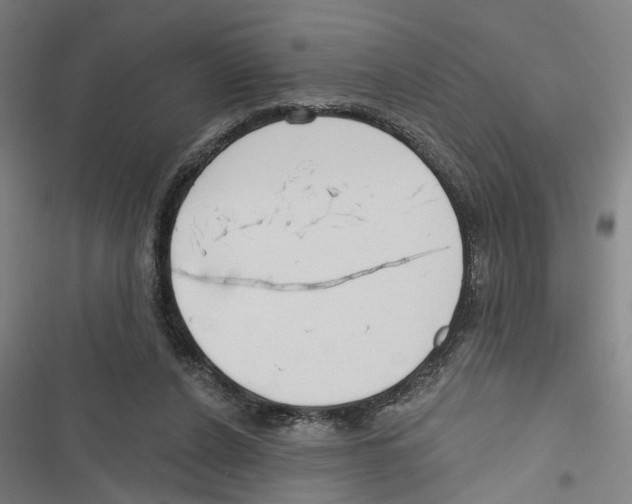 X0000116850256201001191646