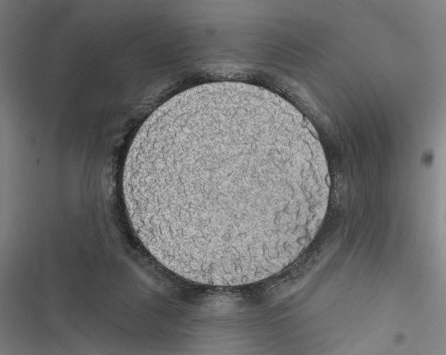 X0000116850259201001191646