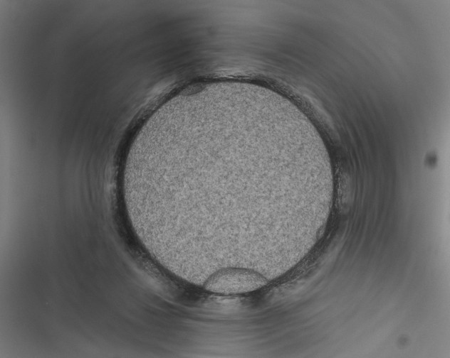 X0000116850260201001191646