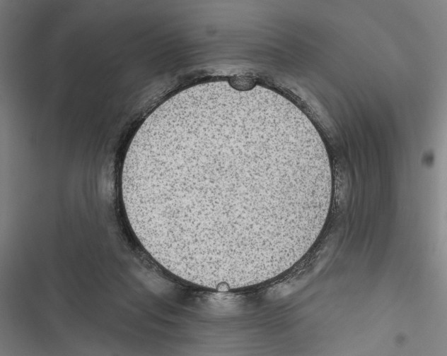 X0000116850261201001191646
