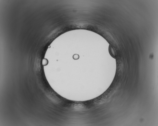 X0000116850262201001191646