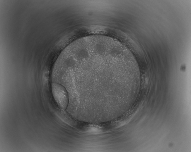 X0000116850263201001191646