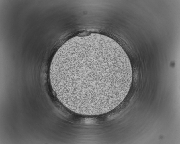 X0000116850264201001191646