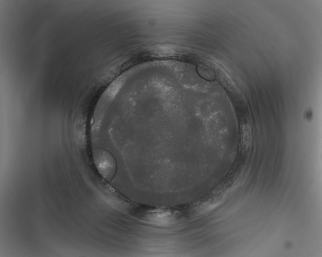 X0000116850267201001191646