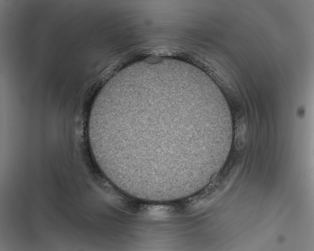 X0000116850268201001191646