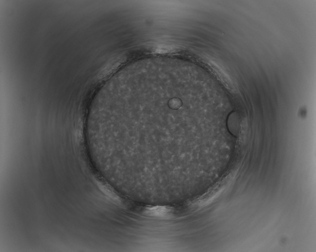 X0000116850269201001191646