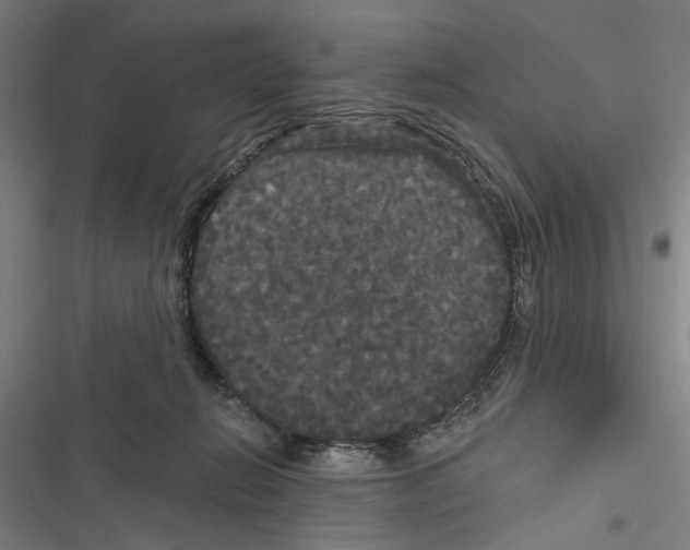 X0000116850270201001191647