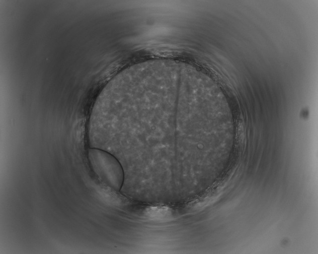 X0000116850271201001191647