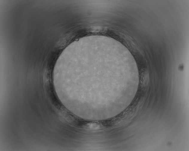 X0000116850272201001191647