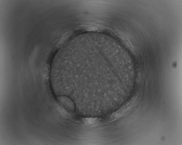 X0000116850273201001191647