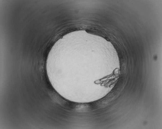 X0000116850274201001191647