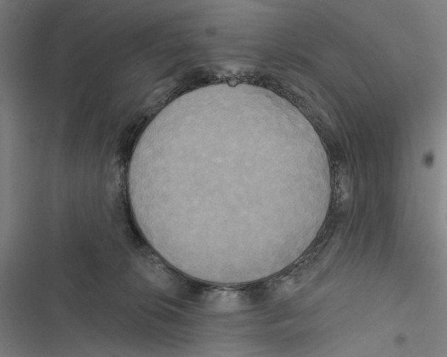X0000116850276201001191647