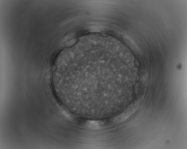 X0000116850277201001191647