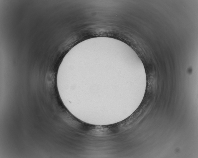 X0000116850278201001191647