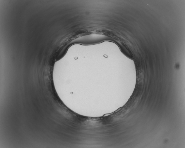 X0000116850280201001191647