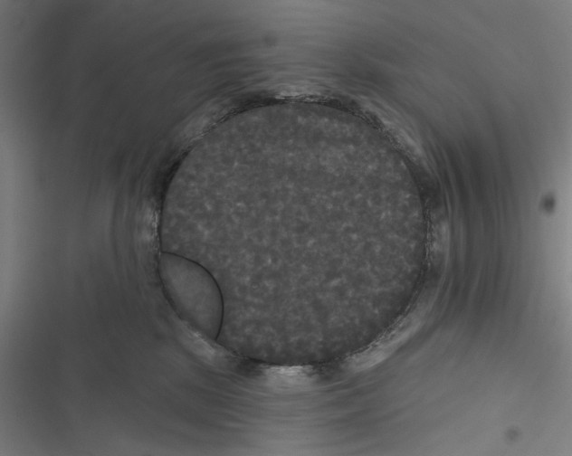 X0000116850281201001191647