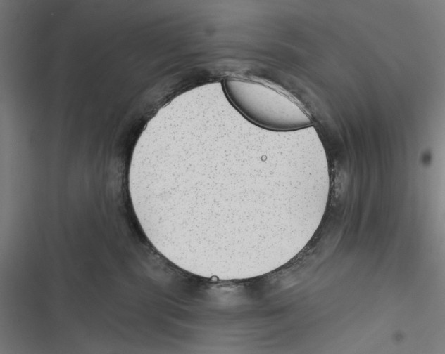 X0000116850283201001191647
