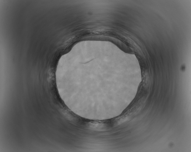 X0000116850284201001191647