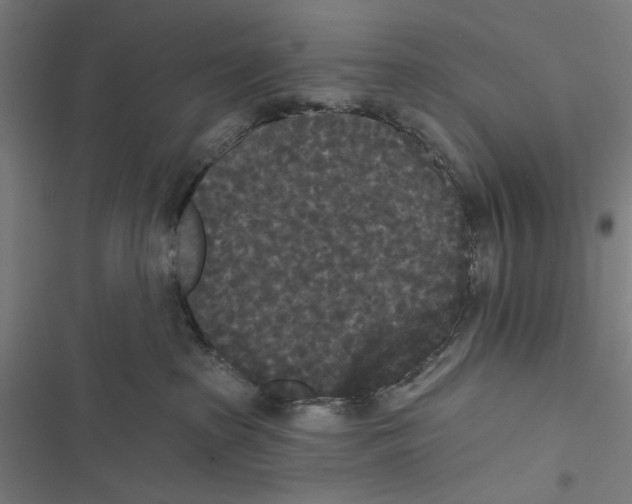 X0000116850285201001191647