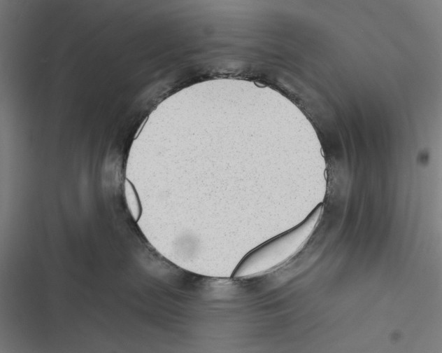 X0000116850287201001191647