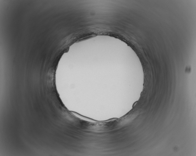 X0000116850288201001191647