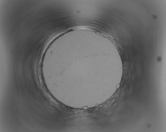 X0000116850289201001191646