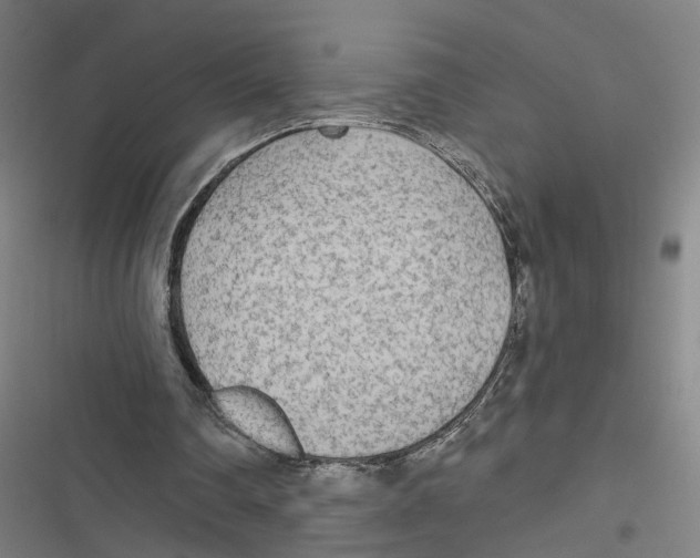 X0000116850290201001191646