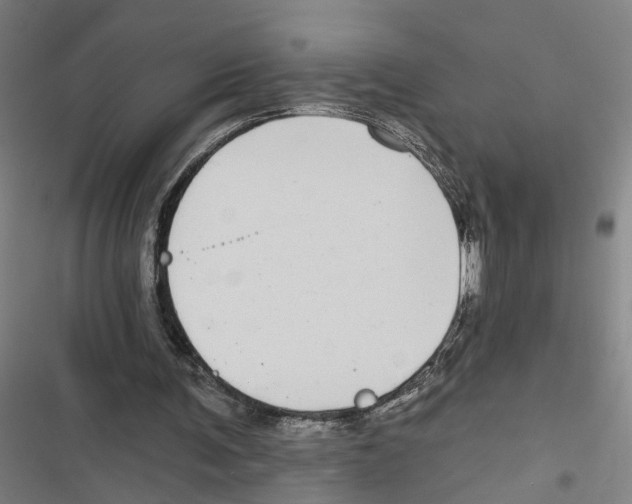 X0000116850291201001191646