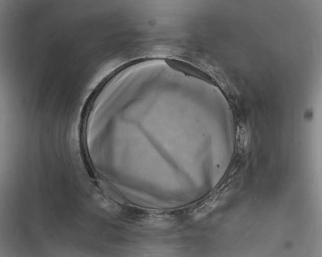 X0000116850292201001191646