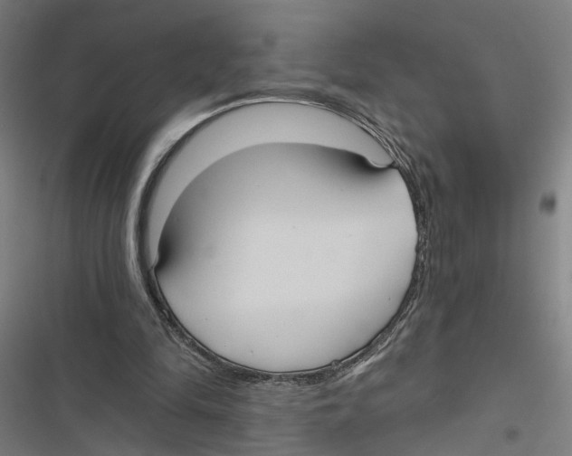 X0000116850294201001191646