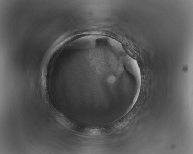 X0000116850295201001191646