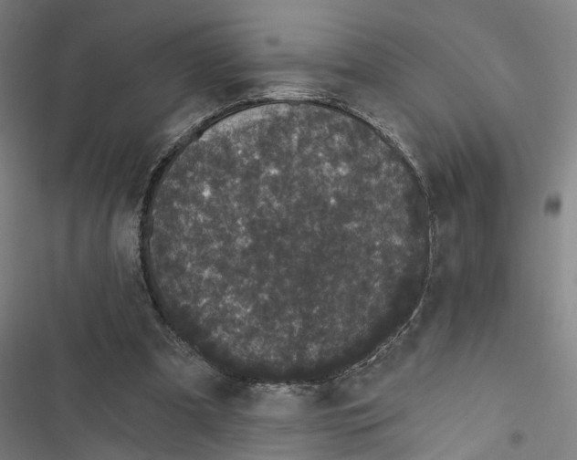 X0000116850297201001191646