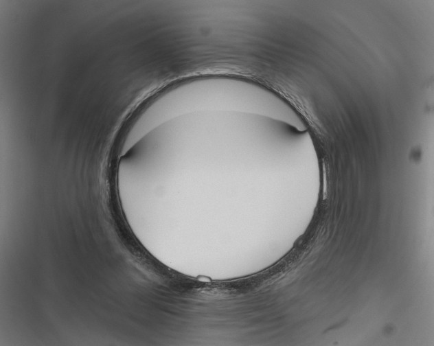 X0000116850300201001191646