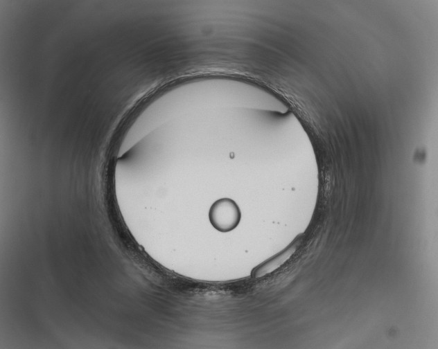 X0000116850304201001191646