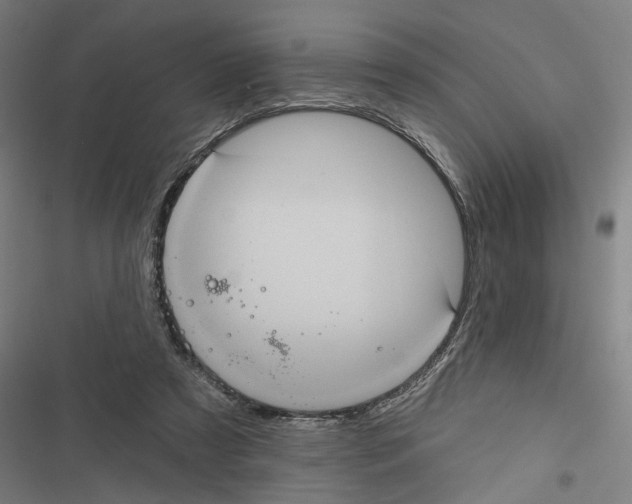 X0000116850305201001191646